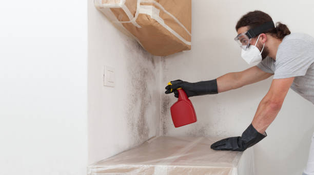 Professional Crawl Space Mold Removal technician working in Wayland, MA